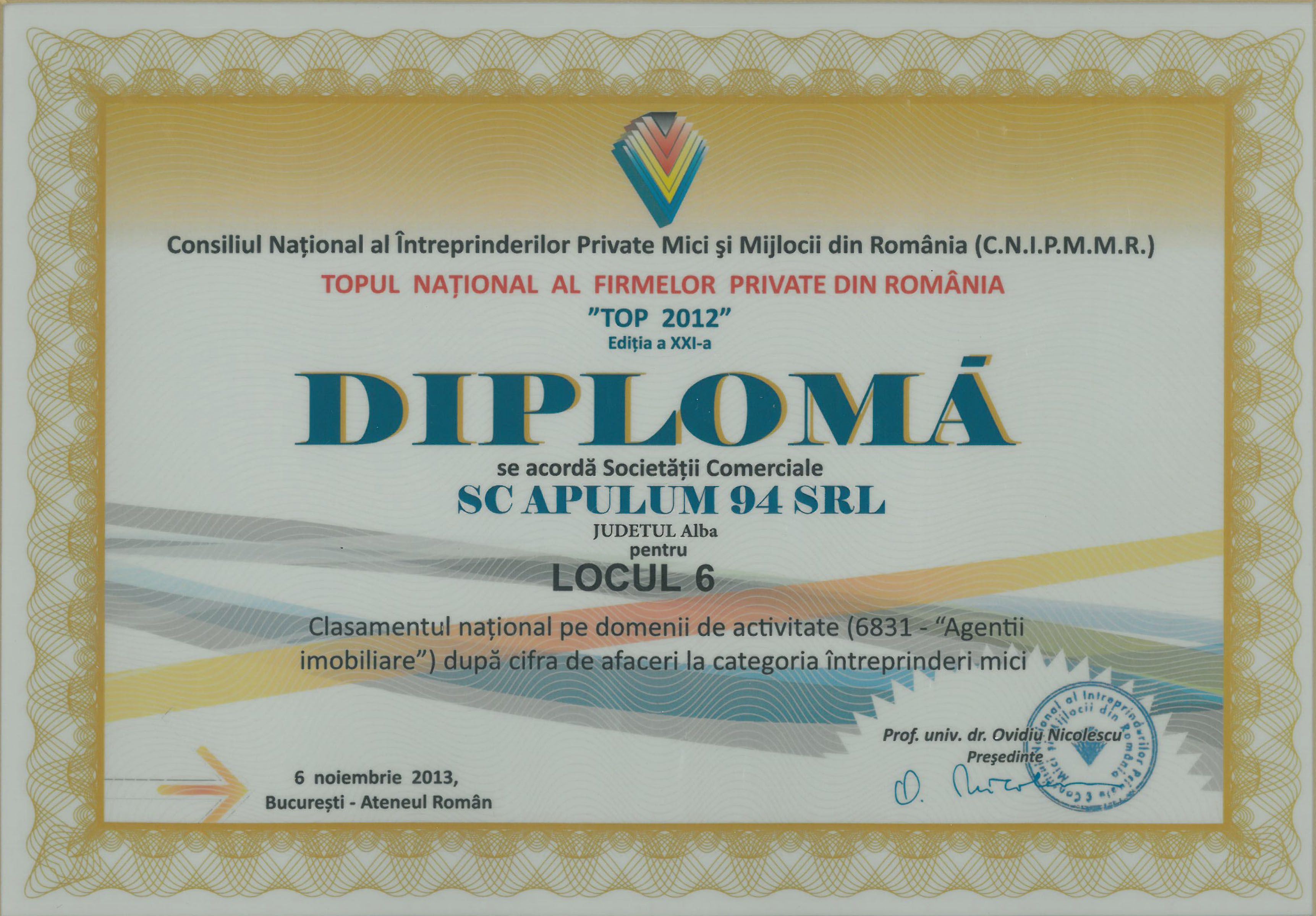 Topul National al Firmelor Private din Romania – 2013